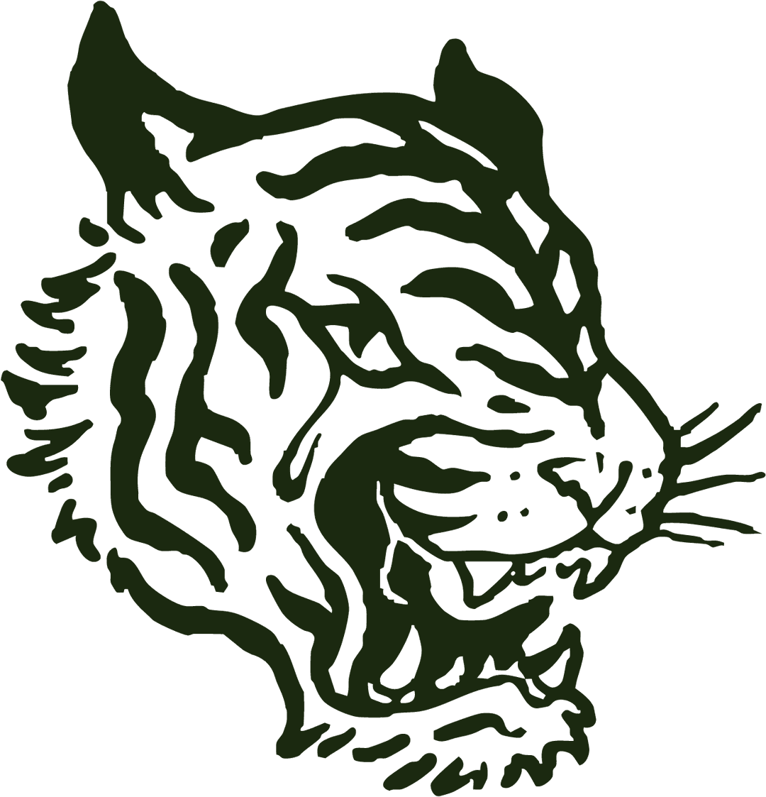illustration of a tiger head