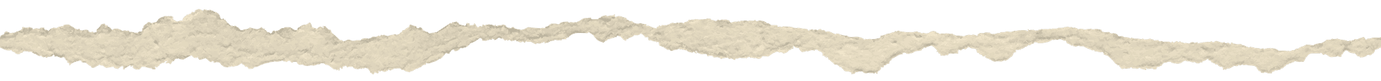 image of a ripped edge of paper