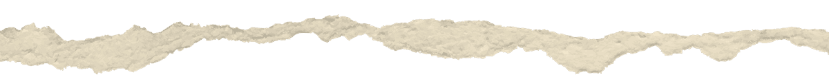 image of a ripped edge of paper