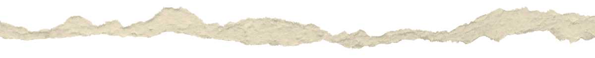 image of a ripped edge of paper